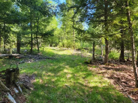 Waterfront Buildable Land with Brook Frontage