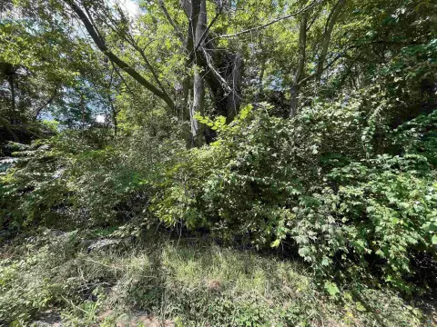 Vacant Lot Near Downtown Sedalia
