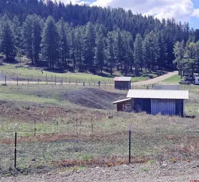 Pagosa Springs Acreage with Shed
