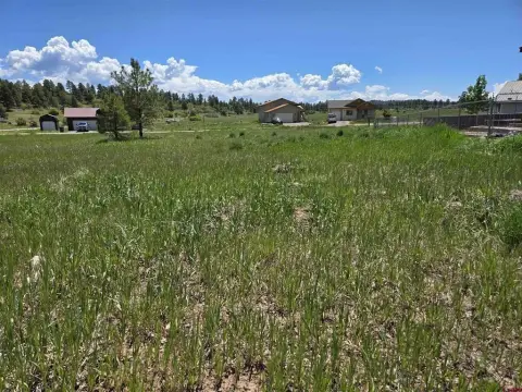 Residential Lot in Pagosa Springs