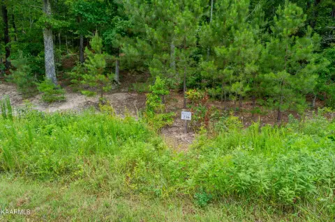 Loudon, TN Lakefront Lot