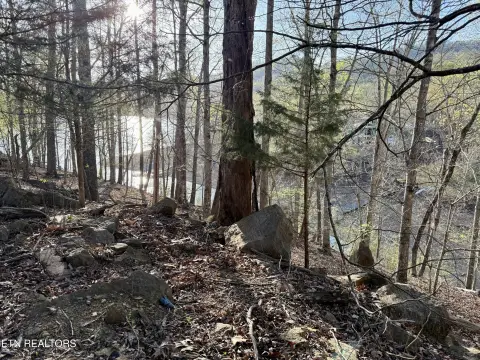 Lakefront Land in Gated Community