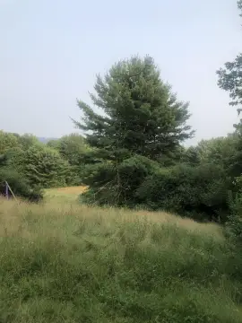 Secluded Land Parcel with Views