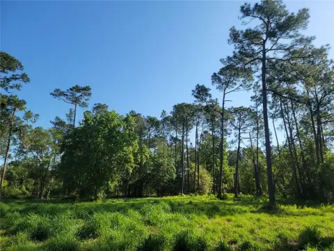Winter Haven Land For Sale
