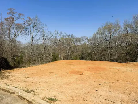 Residential Lot in Palestine, TX