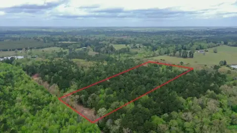 Wooded Residential Acreage with Easement