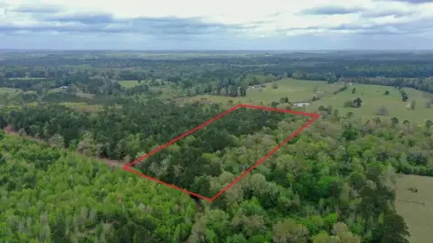 Wooded Tract with Spring-Fed Creek