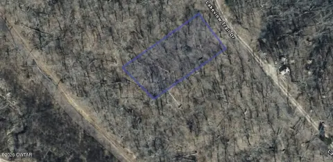 Wooded Lot Near Tennessee River