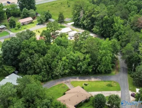 Fort Payne Wooded Building Lot