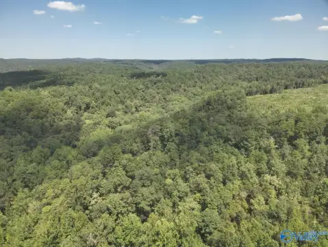63 Acres of Land, Brookwood