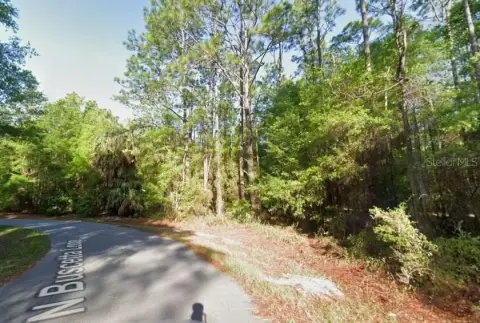 Land in Crystal River, Florida