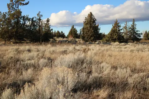 Residential Land in Bend, Oregon