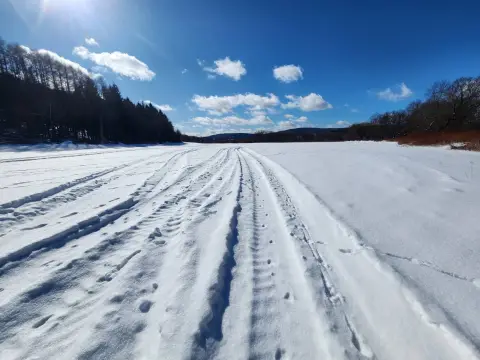 49.7 Acres Near Chenango River