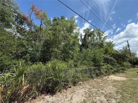 Treed Homesite in New Port Richey