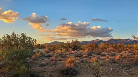 40-Acre Parcel in Yucca, AZ