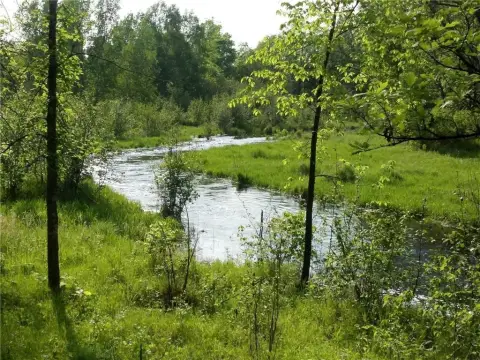 Exceptional Wooded Land Parcel