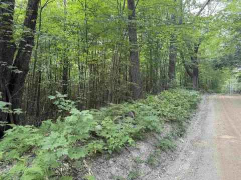 Secluded Land in Ossipee, NH
