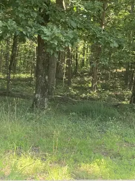 Residential Lot in Fairfield Bay