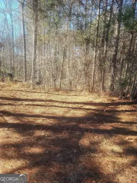 Residential Lot in Hampton, GA