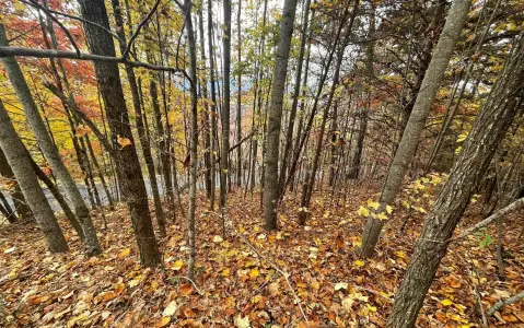 Hayesville Vacant Lot with Views