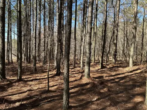 Mountain View Residential Home Lot