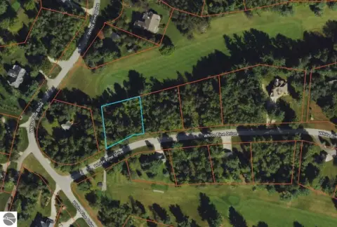Residential Lot in Golf Community