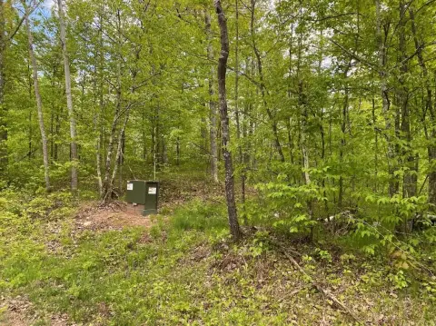 Wooded Waterfront Lake Lot