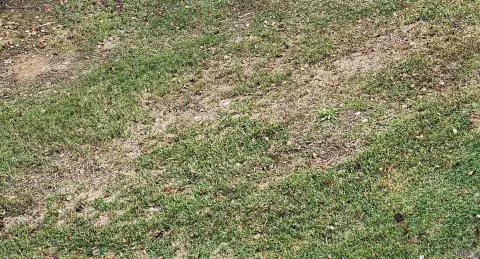 Residential Land in Baton Rouge