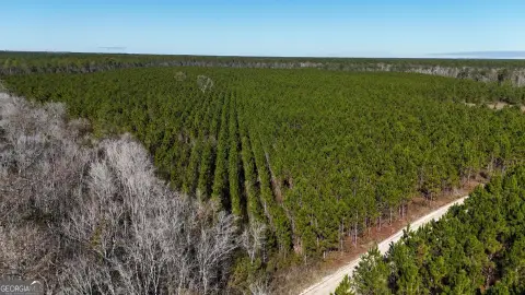 29 Acres of Country Living