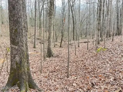 Land in Cedar Grove, TN