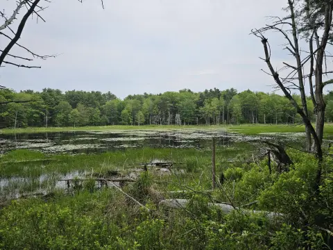 Waterfront Residential Land Parcel