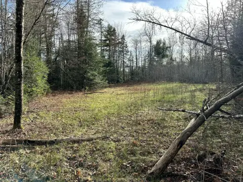Waterfront Land Parcel
