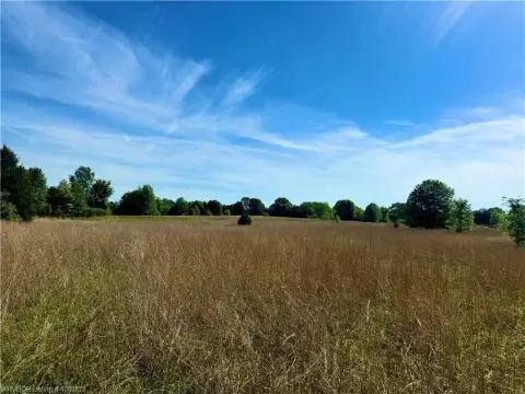 Build-Ready Timberland Acreage