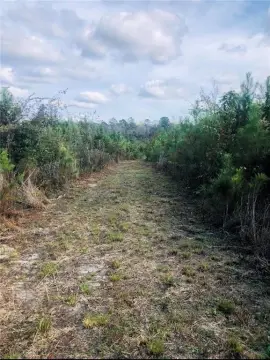 Spacious Land in Stockton, AL