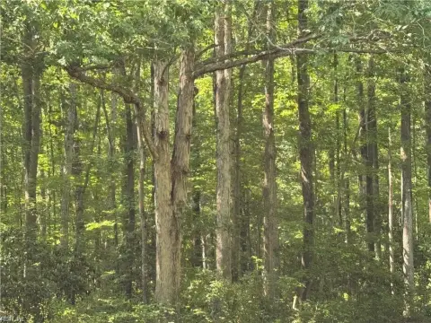 Residential Lot in Suffolk, VA