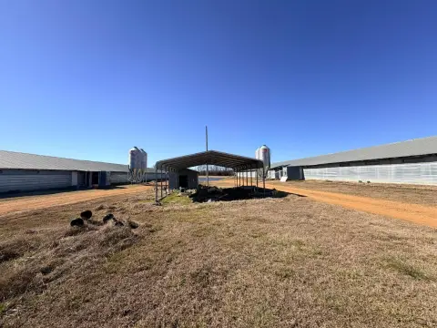 Foreman, AR Poultry Farm