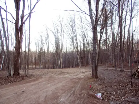 Loch Lomond Beach Club Waterfront Access Land