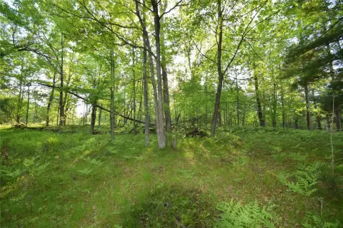 Wooded Residential Building Lot