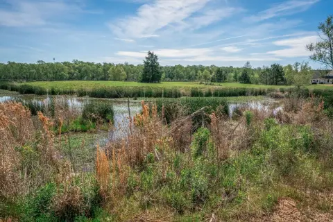 Waterfront Land in Putnam Farms