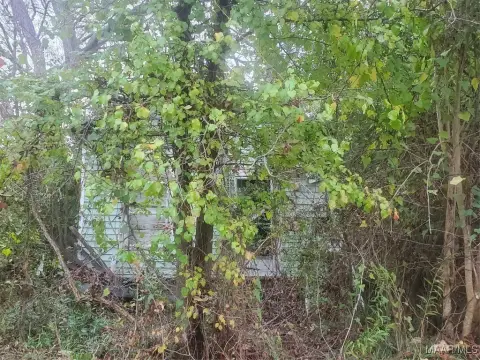 Residential Lot in Selma, AL