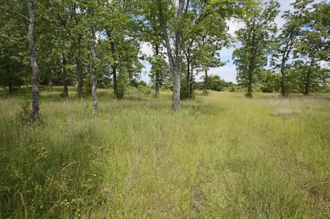 Arrowhead Lakes Land with Pond