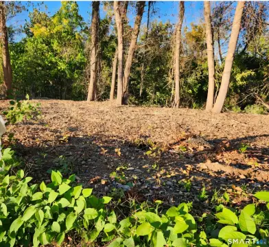 Commercial Land with Utilities
