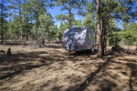 Secluded Forested Land in Weston