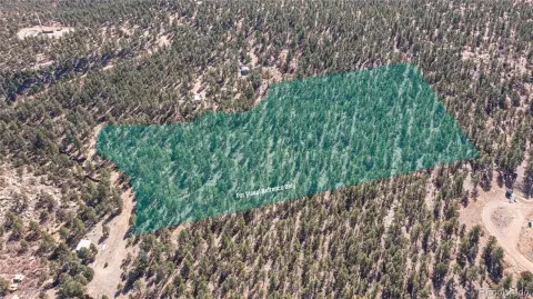 Secluded Forested Land in Weston