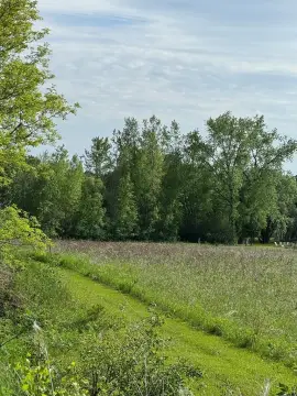 Agricultural Hunting Land Tract