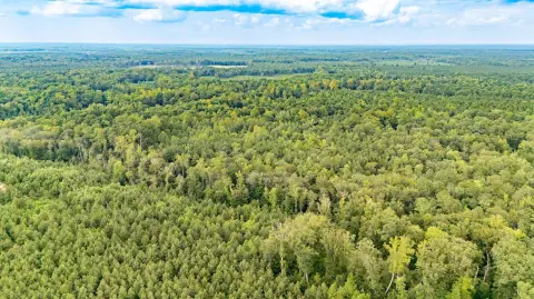 10.88 Acre Wooded Building Lot