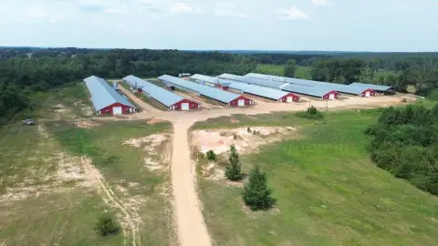 Mount Olive Broiler Farm