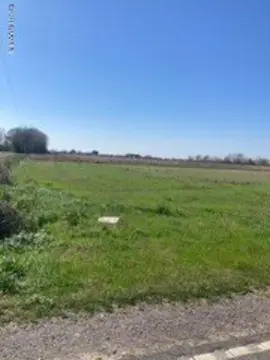 Abbeville Land Opportunity