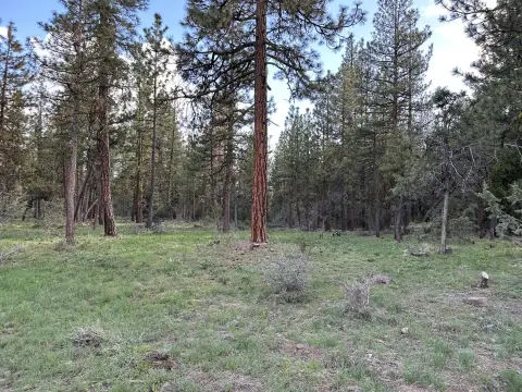 Bonanza, Oregon Land Opportunity