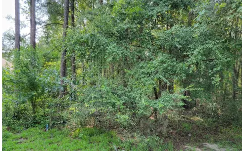 Wooded Lot in 55+ Community